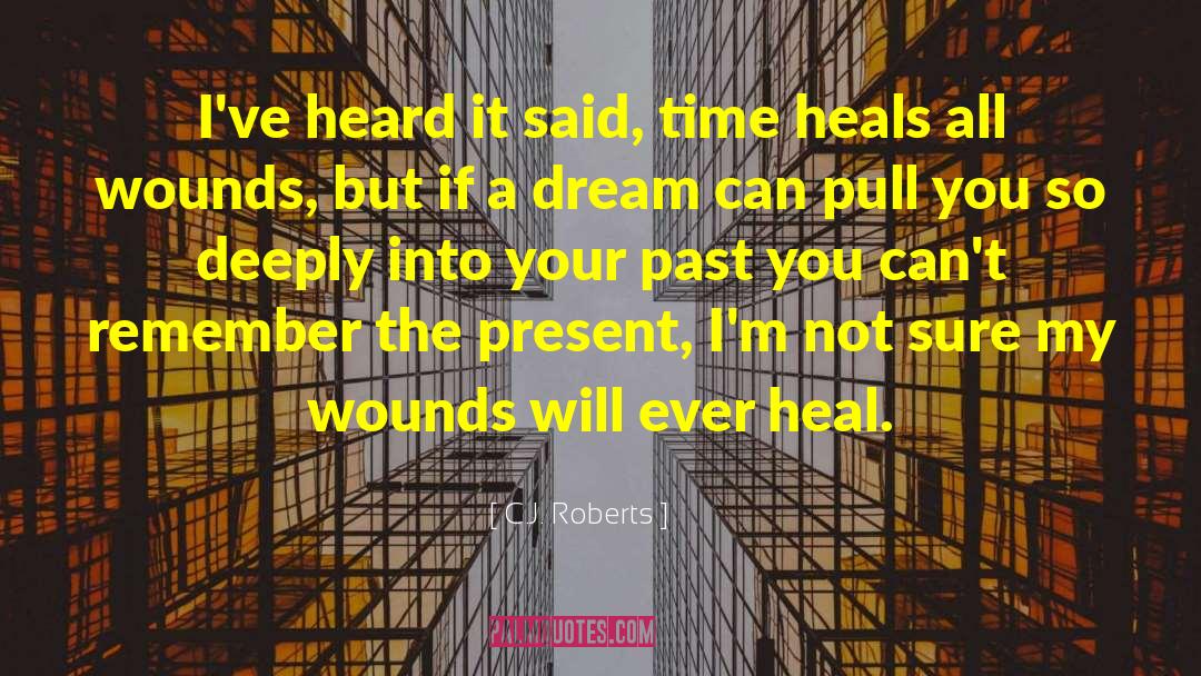 Time Heals All quotes by C.J. Roberts