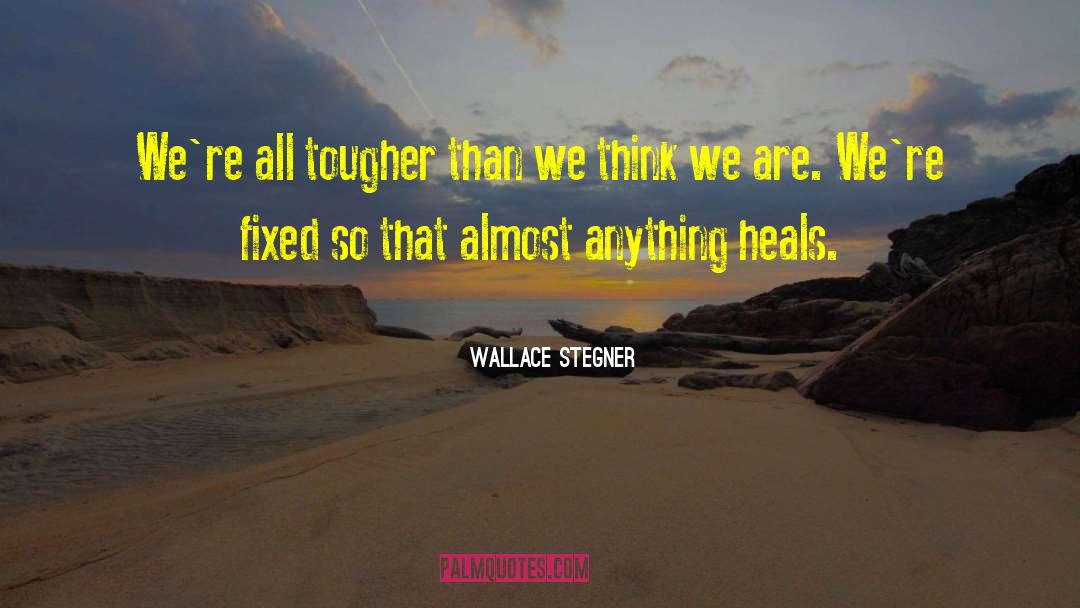 Time Heals All quotes by Wallace Stegner