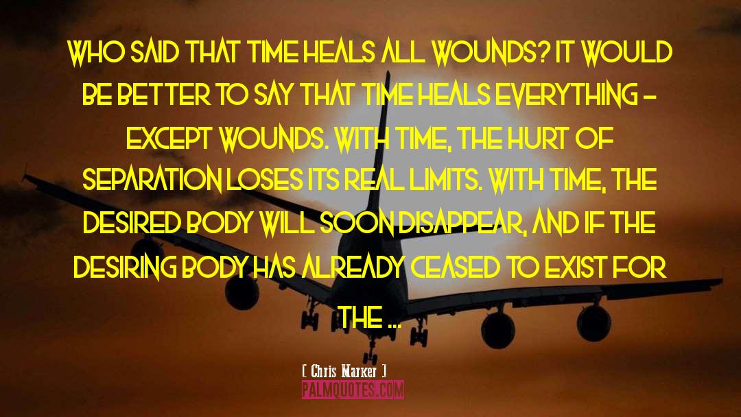 Time Heals All Wounds quotes by Chris Marker