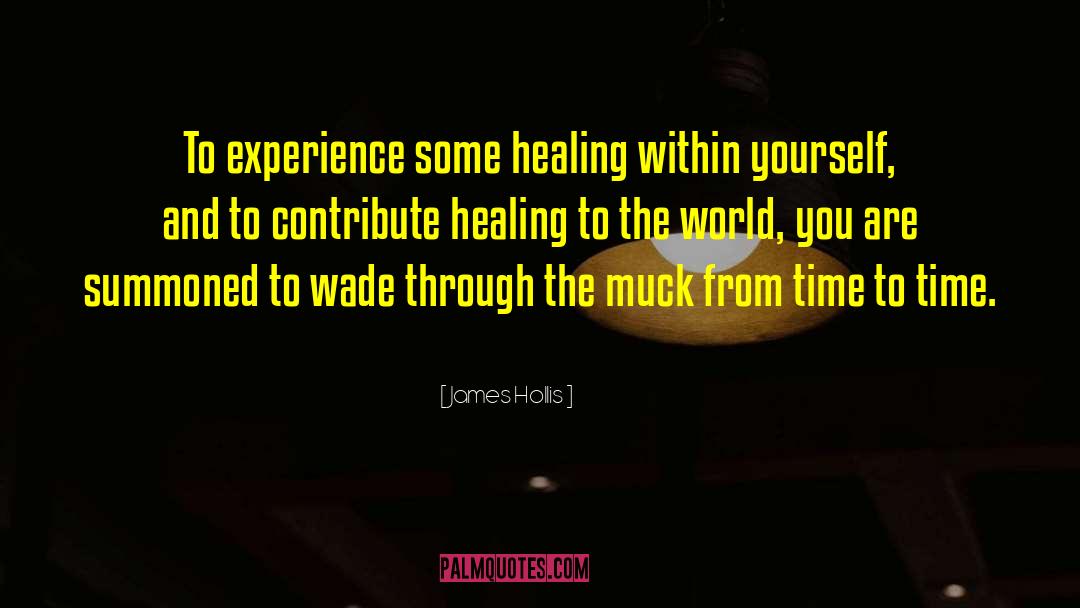 Time Heals quotes by James Hollis