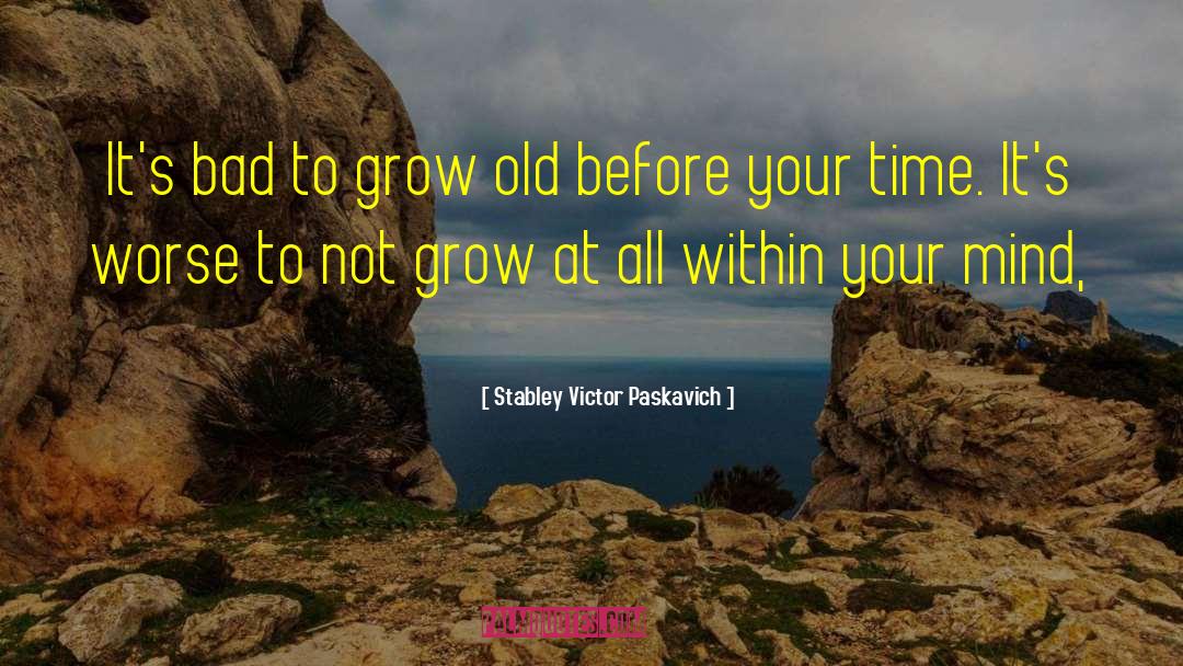 Time Investment quotes by Stabley Victor Paskavich