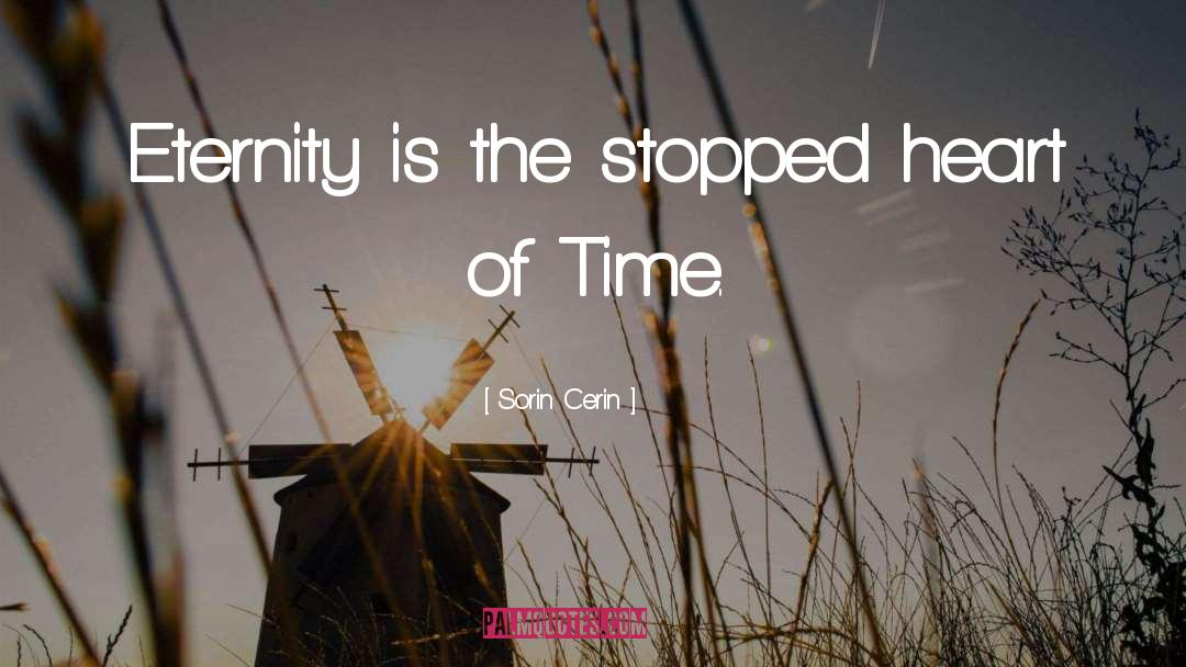 Time Is Borrowed quotes by Sorin Cerin