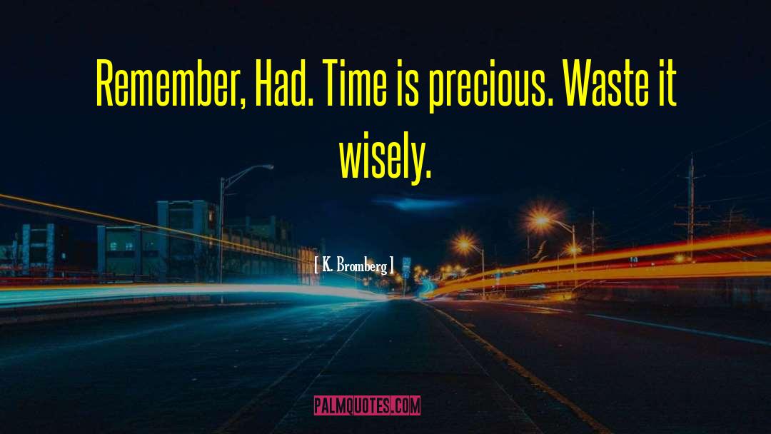 Time Is Precious quotes by K. Bromberg