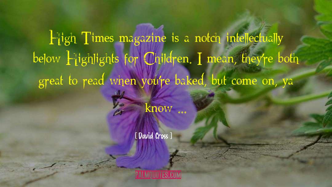 Time Magazine quotes by David Cross