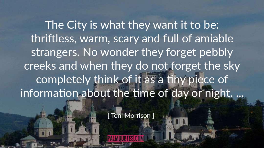 Time Of Day quotes by Toni Morrison