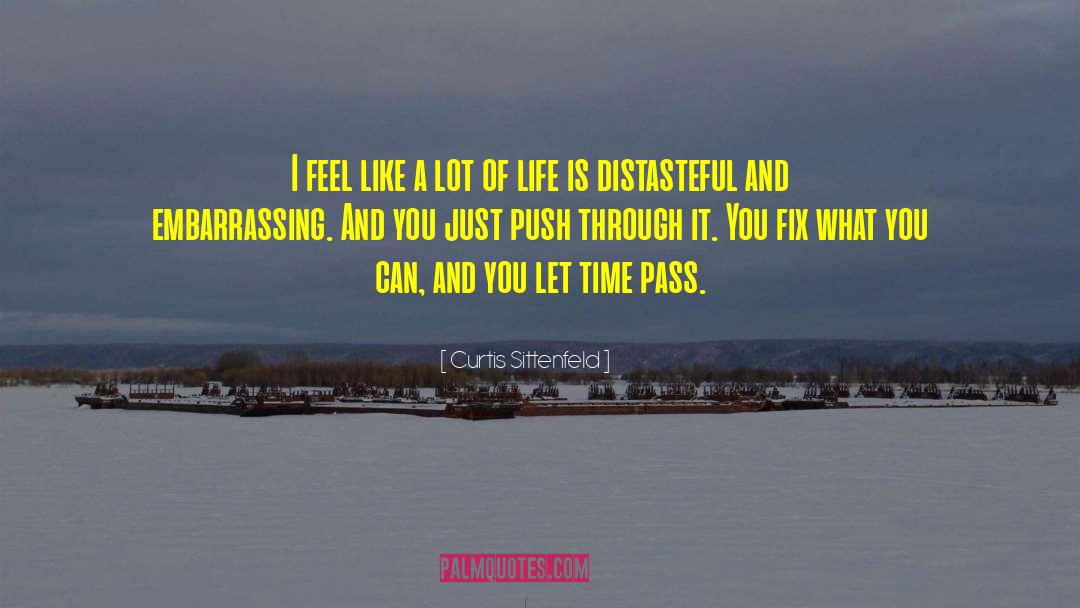Time Pass quotes by Curtis Sittenfeld