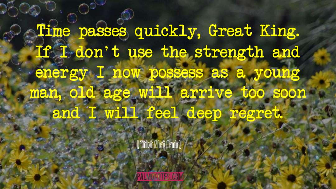 Time Passes Quickly quotes by Thich Nhat Hanh