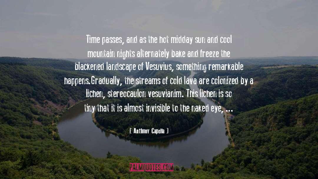 Time Passes quotes by Anthony Capella