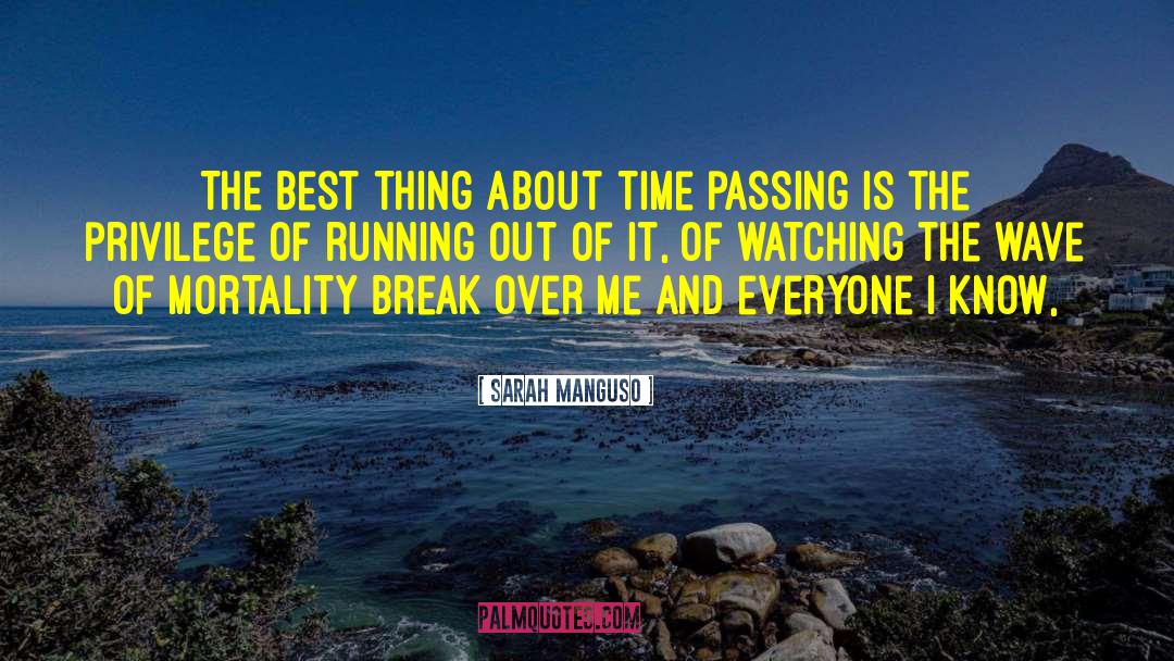 Time Passing quotes by Sarah Manguso