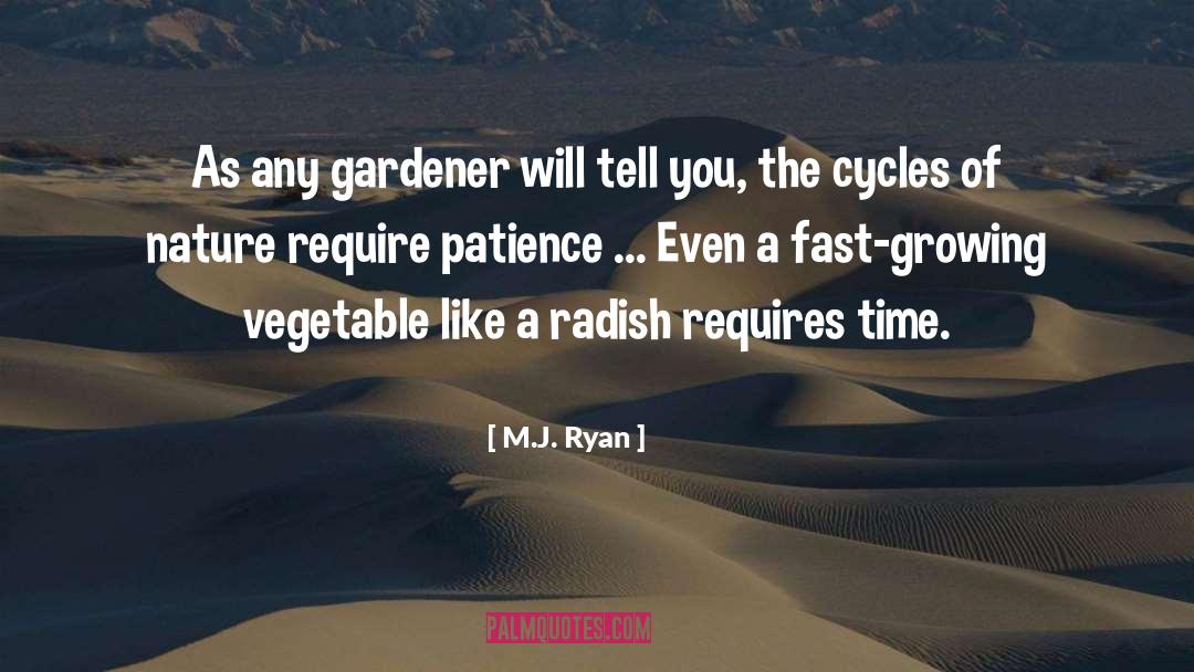 Time Patience quotes by M.J. Ryan