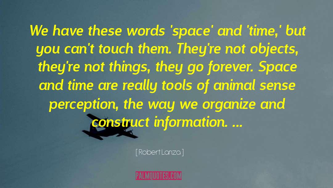 Time Space quotes by Robert Lanza
