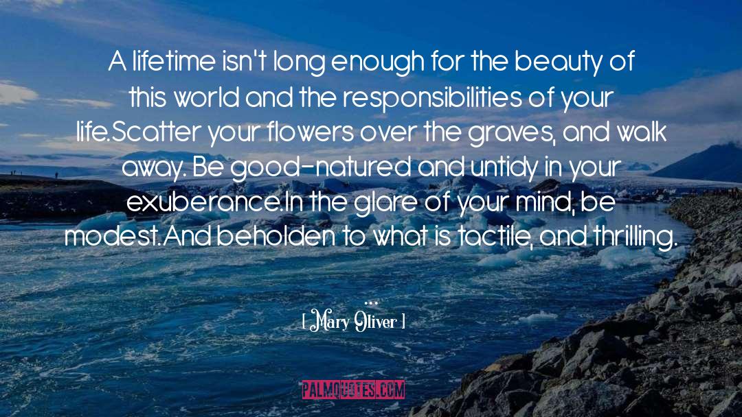 Time To Walk Away quotes by Mary Oliver