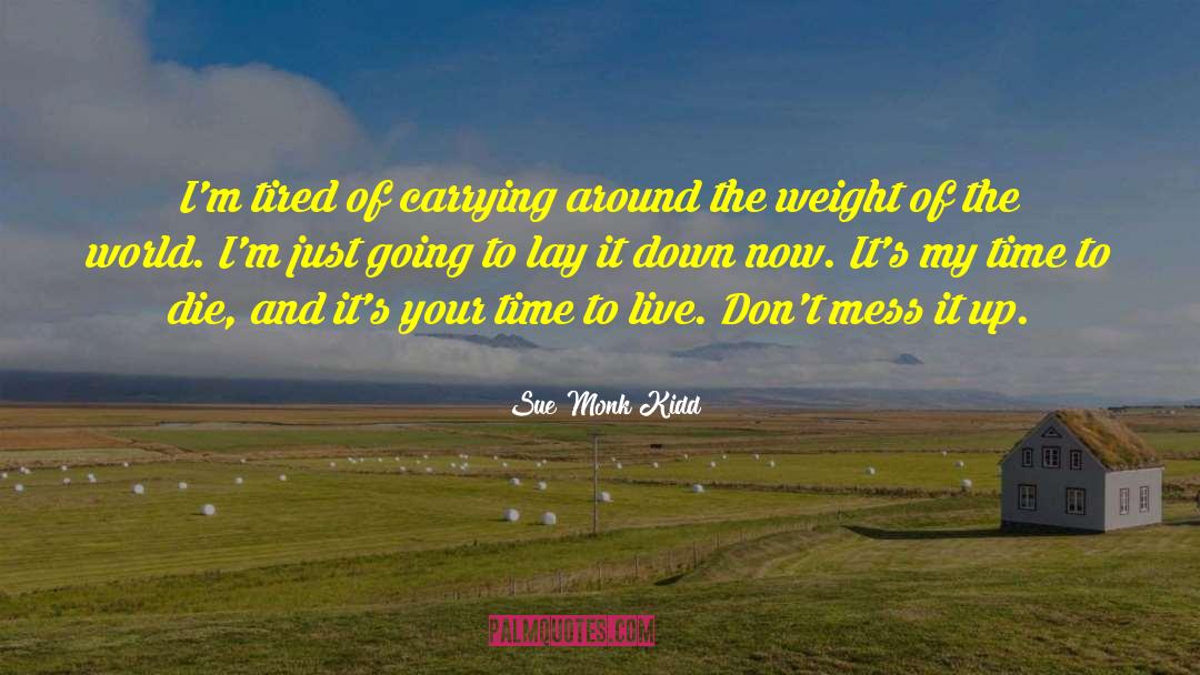 Time Up And Down quotes by Sue Monk Kidd