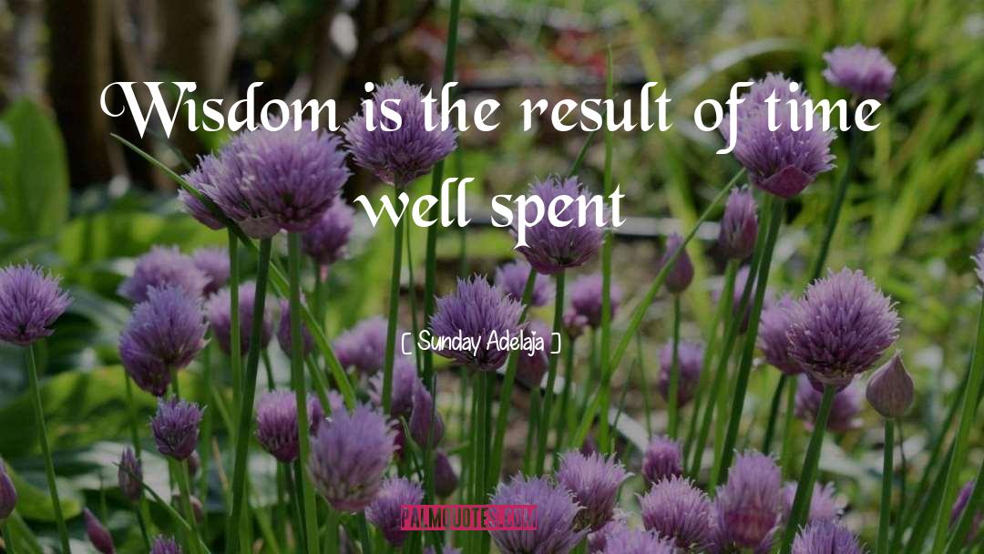 Time Well Spent quotes by Sunday Adelaja