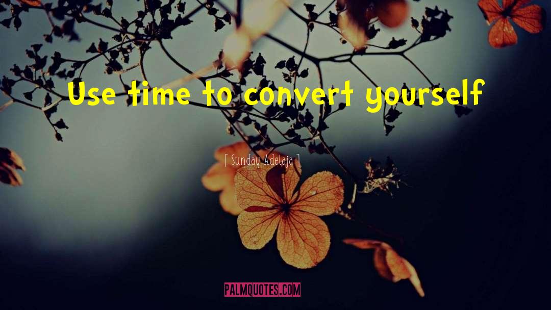 Time Well Spent quotes by Sunday Adelaja