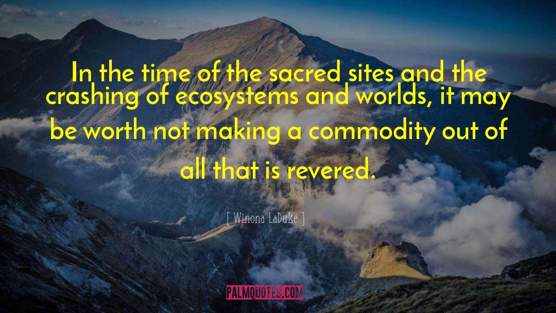 Time Worth quotes by Winona LaDuke