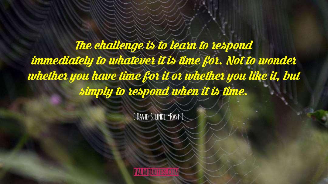 Timeliness quotes by David Steindl-Rast
