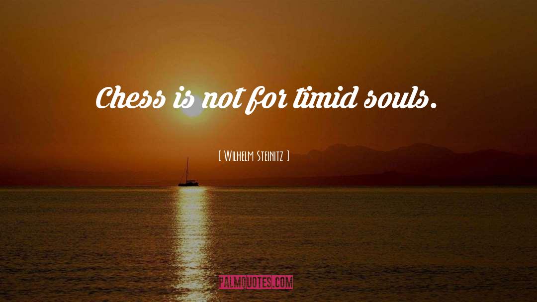Timid Souls quotes by Wilhelm Steinitz