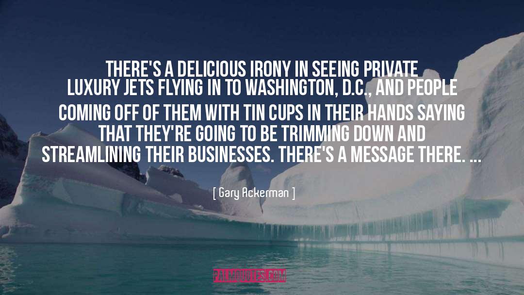 Tin Cup quotes by Gary Ackerman