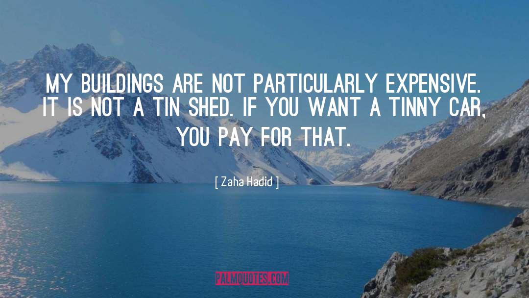 Tin Woodman quotes by Zaha Hadid
