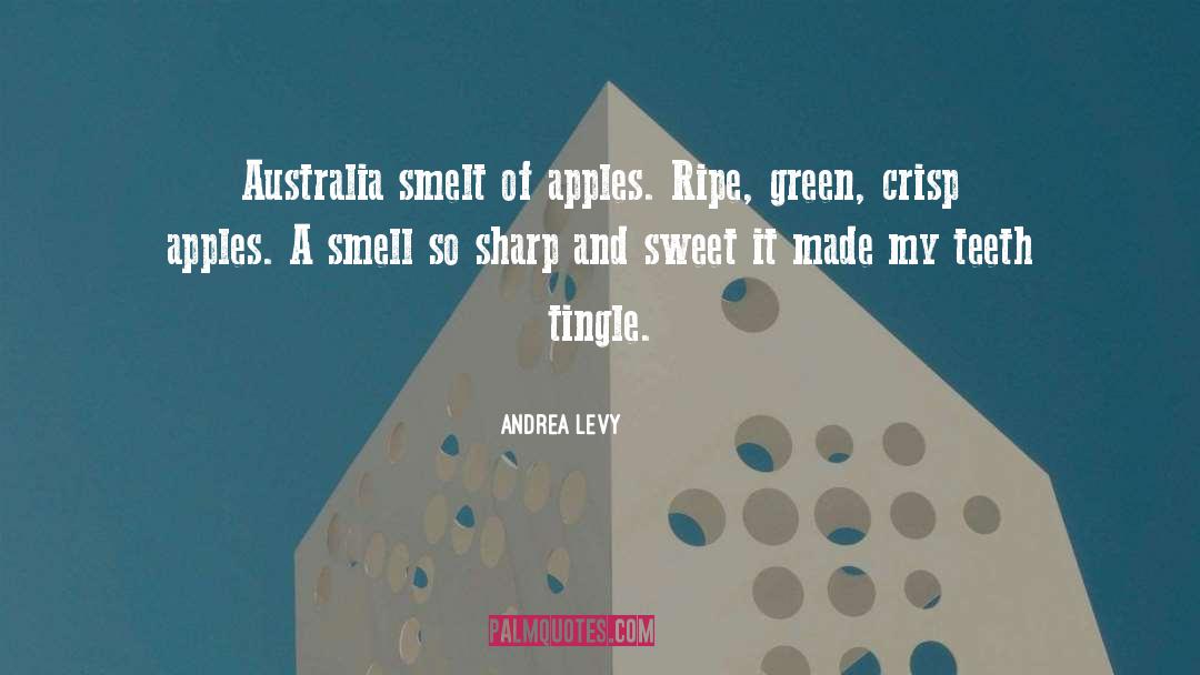Tingle quotes by Andrea Levy