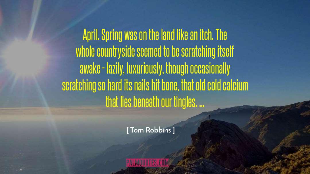 Tingles quotes by Tom Robbins