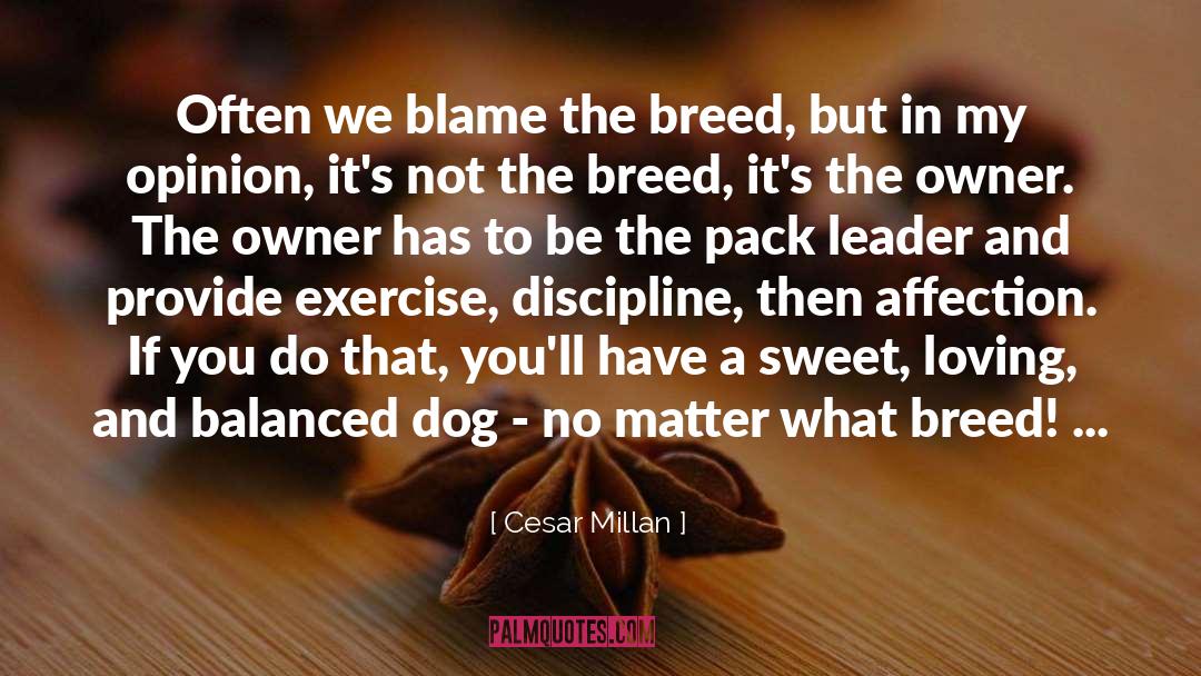 Tinker S Packs quotes by Cesar Millan