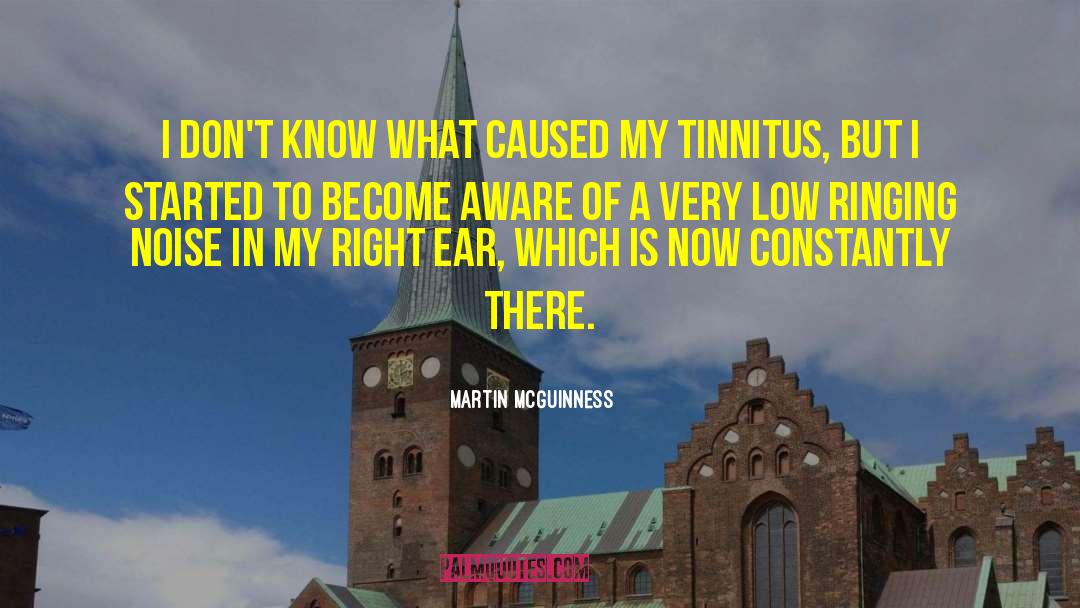 Tinnitus quotes by Martin McGuinness