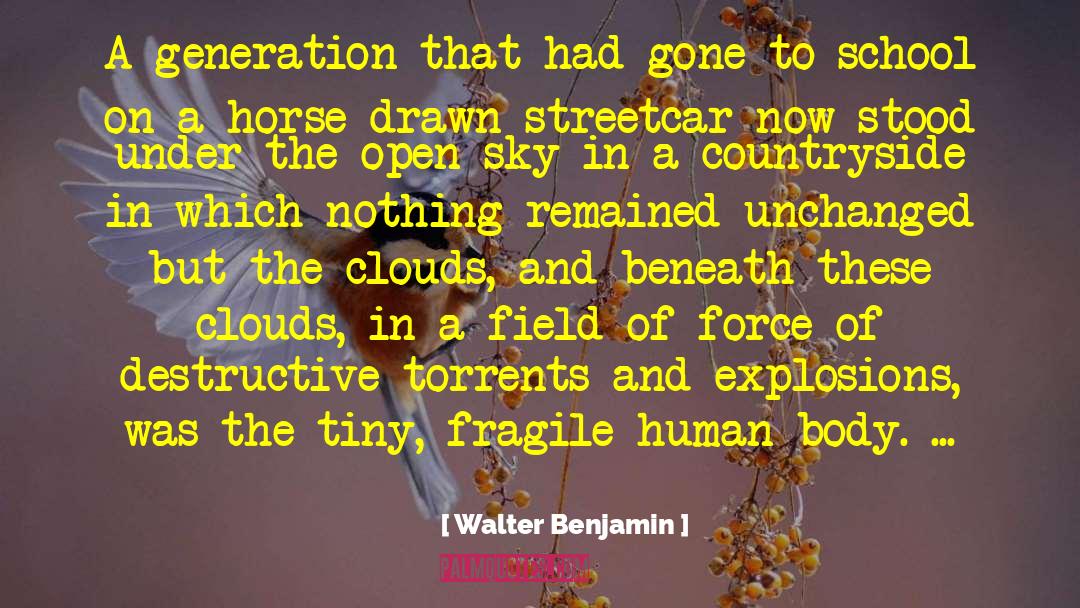 Tiny Changes quotes by Walter Benjamin