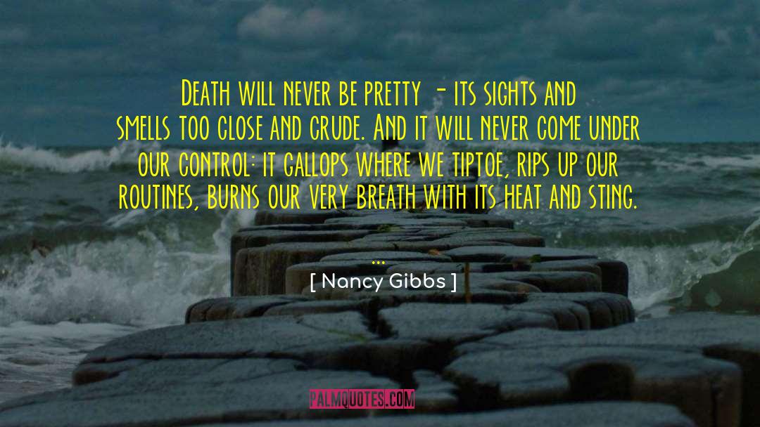 Tiptoe quotes by Nancy Gibbs