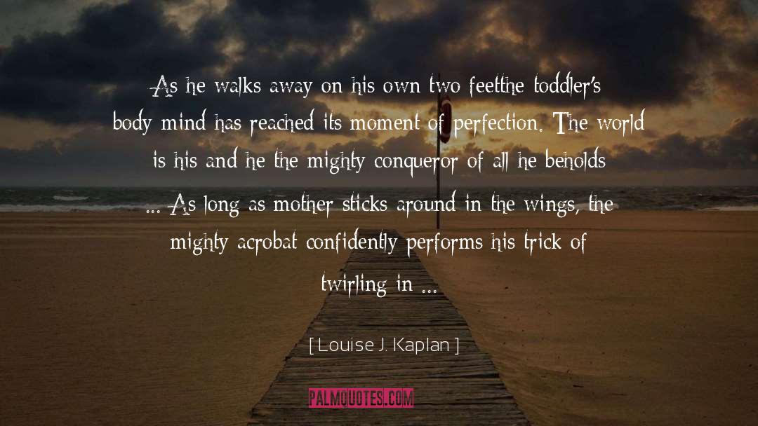 Tiptoe quotes by Louise J. Kaplan