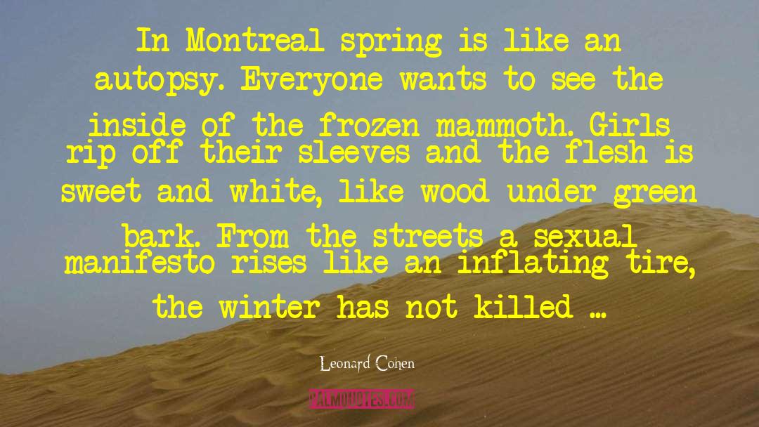Tissier Montreal quotes by Leonard Cohen