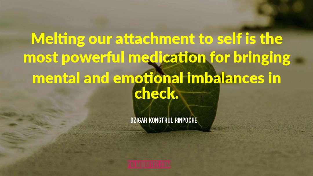 Titrated Medication quotes by Dzigar Kongtrul Rinpoche