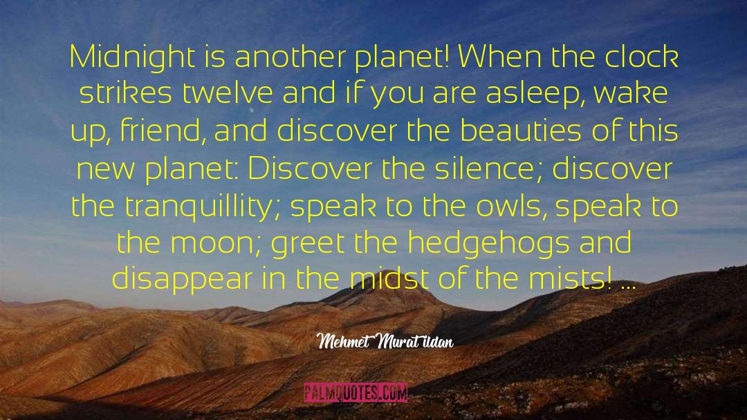 Tixier Owls quotes by Mehmet Murat Ildan