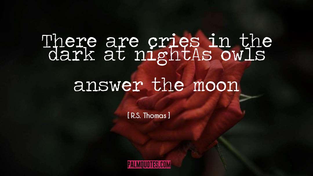 Tixier Owls quotes by R.S. Thomas