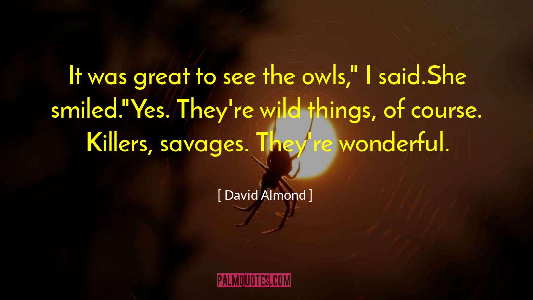 Tixier Owls quotes by David Almond