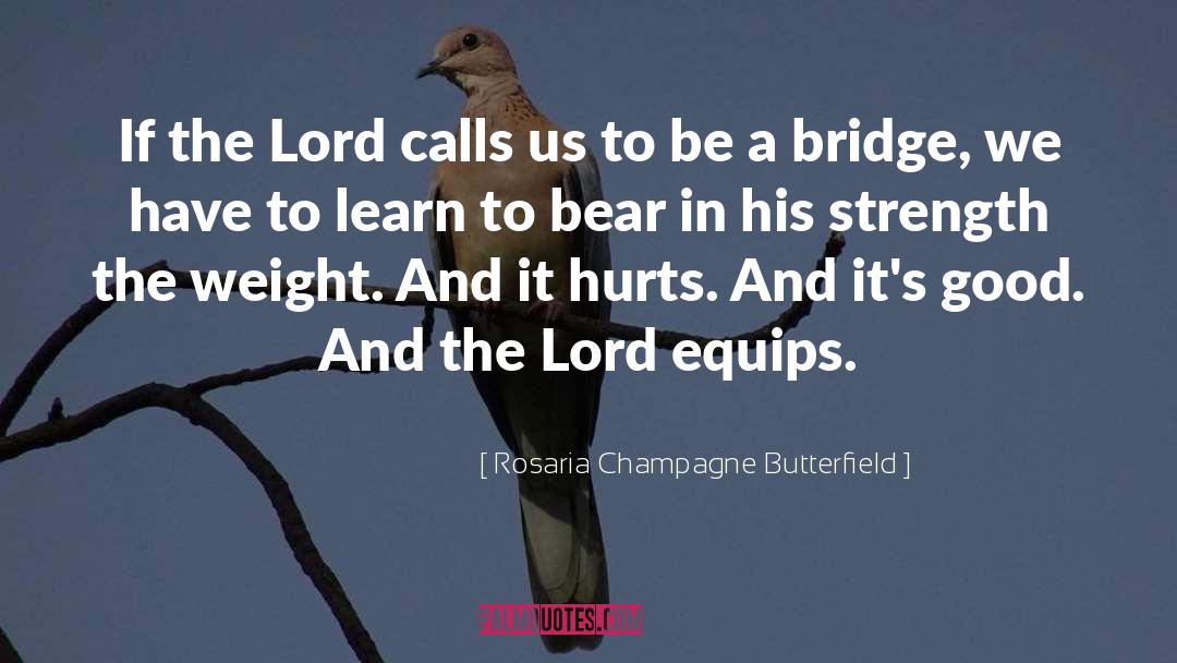 To Bear quotes by Rosaria Champagne Butterfield