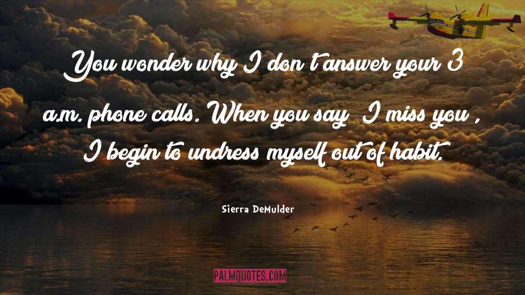 To Begin Again quotes by Sierra DeMulder