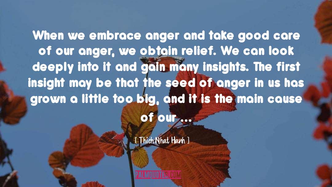 To Begin Again quotes by Thich Nhat Hanh