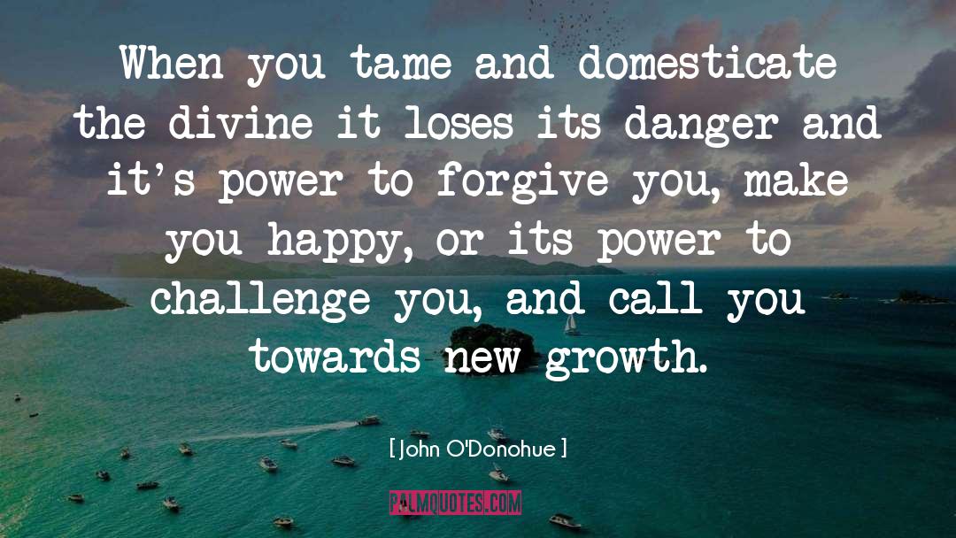To Forgive quotes by John O'Donohue