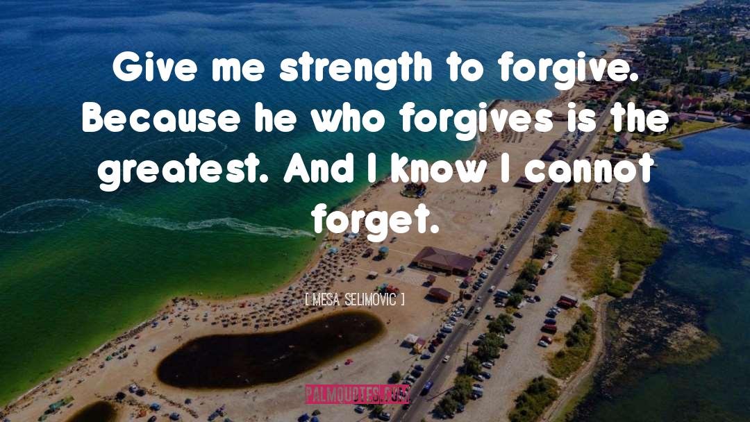 To Forgive quotes by Mesa Selimovic