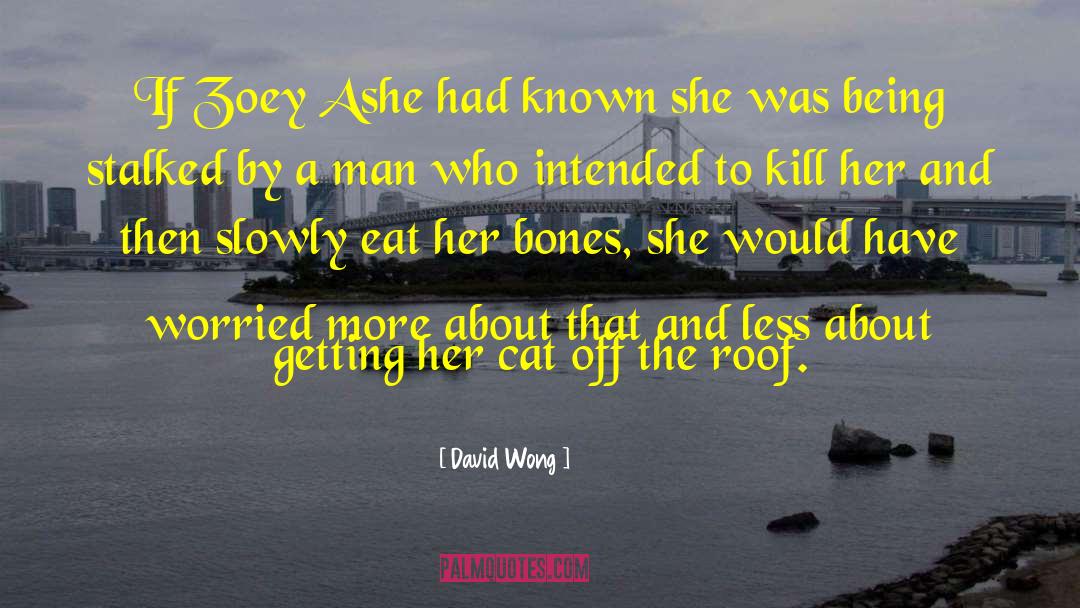 To Kill A Mocking Bird quotes by David Wong