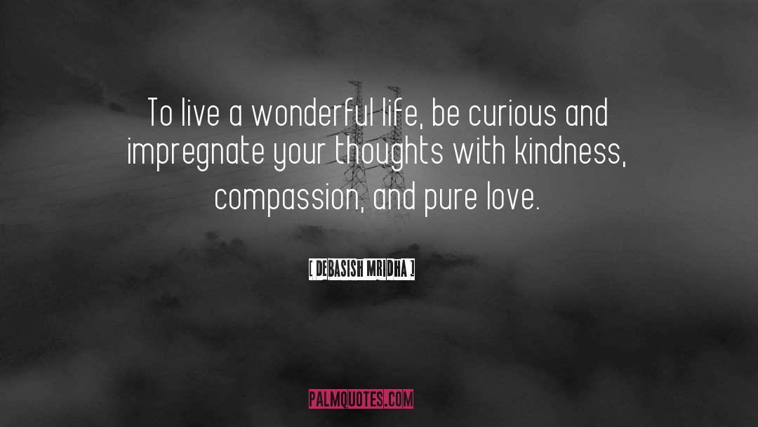 To Live A Wonderful Life quotes by Debasish Mridha