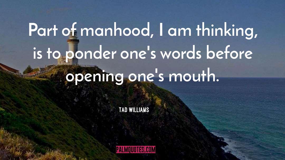 To Ponder quotes by Tad Williams