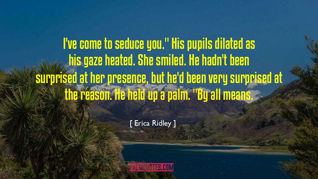 To Seduce A Sinner quotes by Erica Ridley