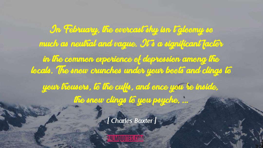 To Snow Under quotes by Charles Baxter