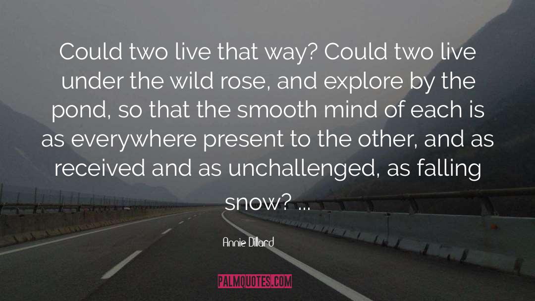 To Snow Under quotes by Annie Dillard