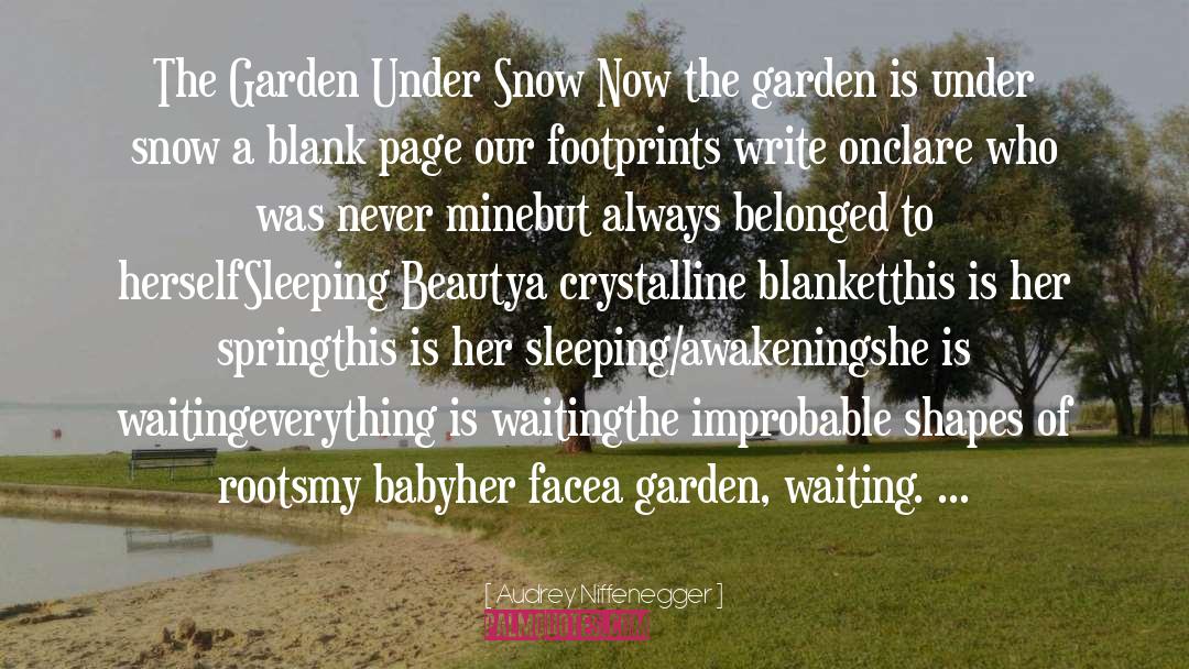 To Snow Under quotes by Audrey Niffenegger