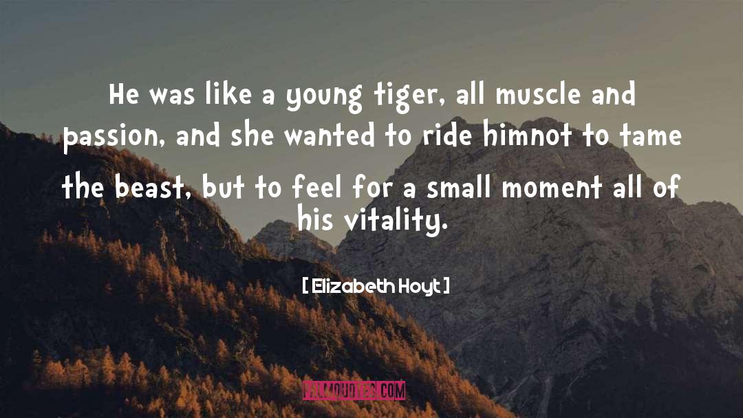 To Tame A Highland Warrior quotes by Elizabeth Hoyt