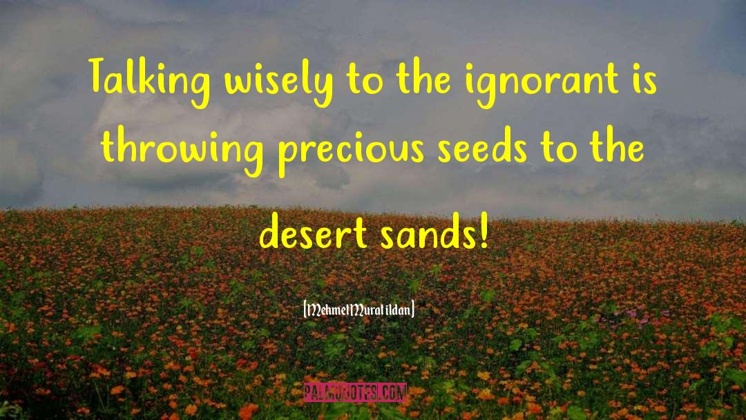 To The Desert quotes by Mehmet Murat Ildan